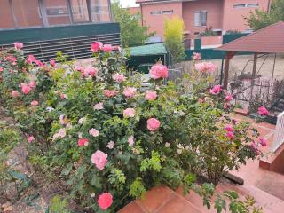 Casa amplia y luminosa cerca de Pamplona - Izarren Etxea - 9