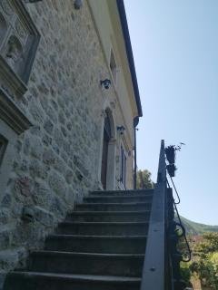 I&G APARTMENTS - Kotor (Cattaro) - 7