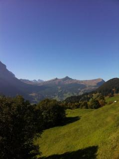 Chalet Bodenwald - 1