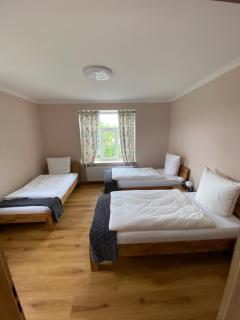 2 Raum Apartment mit Terrasse, hell und stilvoll - Borna - 7