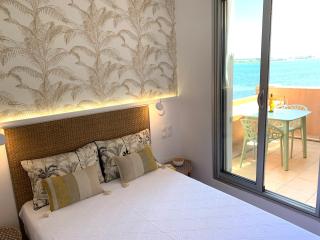 Élégant appartement T2 en 1ère ligne de l'Étang de Thau avec terrasse - Cures et vacances - 9