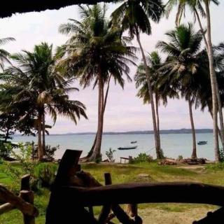 Masokut Surf Camp Siberut - 4