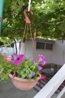 Kalamata home, Agia triada - Kalamata - 6