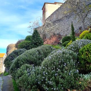 La Grande Maison á Chanteuges - Chanteuges - 5
