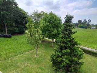 Apartamentos Turísticos La Senra - 4