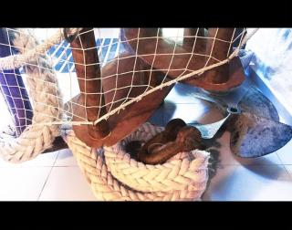 Refúgio do Trapiche em Ubatumirim - 7