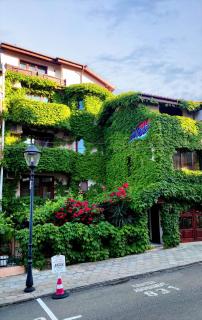 More Family Hotel - Sosopol - 0