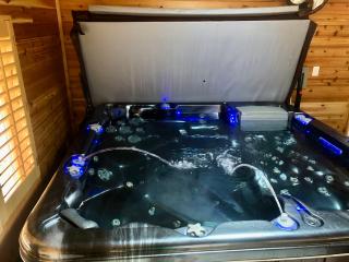 Blue Bear Den 3BR 2BA DTC Private Apt Hot Tub - Denver - 9