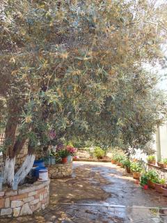 Vila REXHAJ - Ksamil - 6
