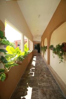 Hotel Vista Verde - 1