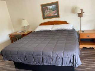 PINE VALLEY MOTEL - Spruce Pine - 8