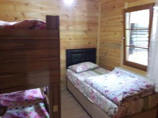 Sarahome Apart - Uzungöl - 8
