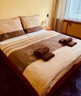 Hotel Slatina - Lipová-lázně - 8