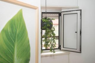 Travel & Live Marques - 6