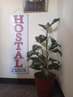 Luxor - Arequipa - 8
