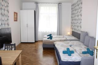 Central Prague Wenceslas Square Apartments - Praga - 9