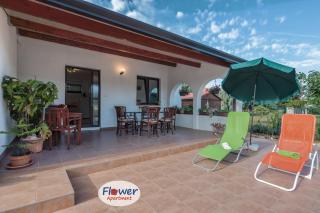 Holiday House Lea - Pula - 8
