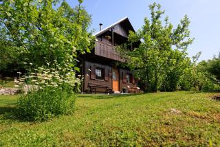 Počitniška hiša ErOs - Bohinj - 0