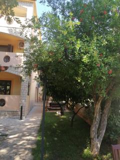 Slim apartman i sobe - Medulin - 4