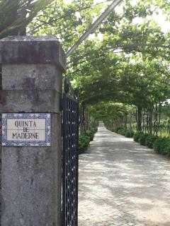Quinta de Maderne - Felgueiras - 9