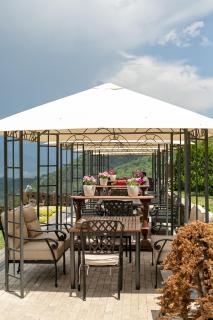 Alpine Castle Hotel - 1