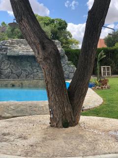VAHADDA HOUSE - Palomares del Río - 3