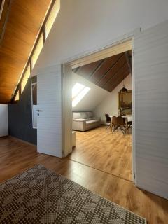 Amazing Savoya nr1 Loft Old City Center Self check-in - Timişoara - 4