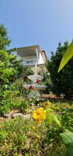 Villa Rab Robert - 6