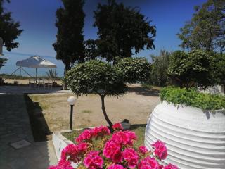 Porto Almira Beachfront Apartments - Nikiti - 2