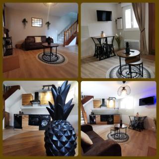NOUVEAU : Rustik'House - À 2 pas de la Gare RER C - Breuillet - 4
