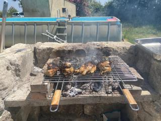 petit coin de paradis en camargue entre Aigues mortes et les saintes maries de la mer, animaux bienvenus - 5
