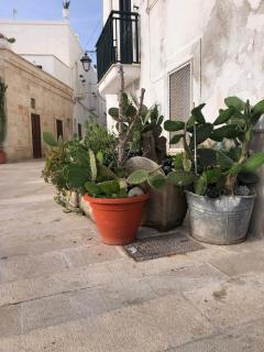 CASA DONNA ASSUNTA - Monopoli - 5