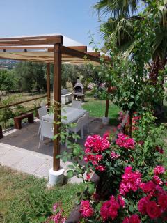 Zefiro Casa Vacanze - Ascea - 4