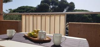 L'Étoile sous les Pins - La Loge - Hyères - 1