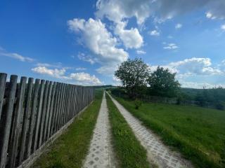 Domy na Roztoczu Aleja Lipowa - dom H - Zwierzyniec - 6