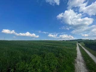 Domy na Roztoczu Aleja Lipowa - dom H - Zwierzyniec - 4
