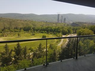 Royal Apartment - Tbilisi - 3