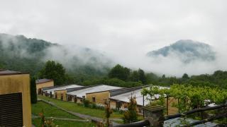 West Wood ApartHotel - Knyagynya - 9