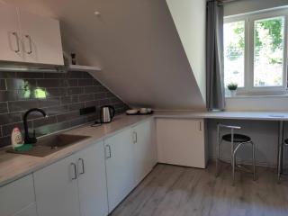 Cosy Apartments in Vilnius Center - 9