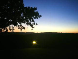 Le Siepi - Magliano in Toscana - 7
