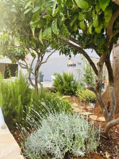 Apartmani Roxy - 6