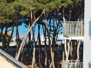 stefy bilo fronte mare - Alba Adriatica - 8