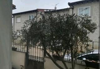 Vivienda adosada , con merendero en Carcedo - Carcedo de Burgos - 8