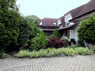 Leander Vendeghaz - 7