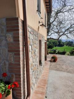Agriturismo Il Truffarello TODI - Todi - 4