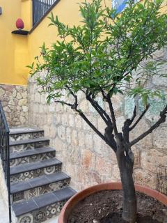 Casa vacanze donna Pina - Palermo - 4