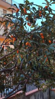 R Family - Acireale - 4