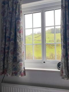 Dinas Castle Inn (The Dragons Back) - 5