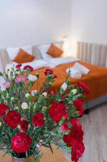 Karkonoskie Widoki - 5