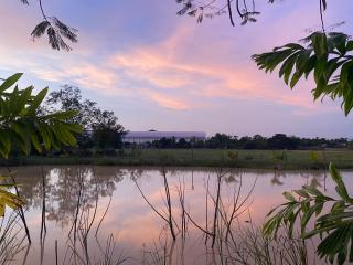 Baan Suan Palm Resort - Uttaradit - 7